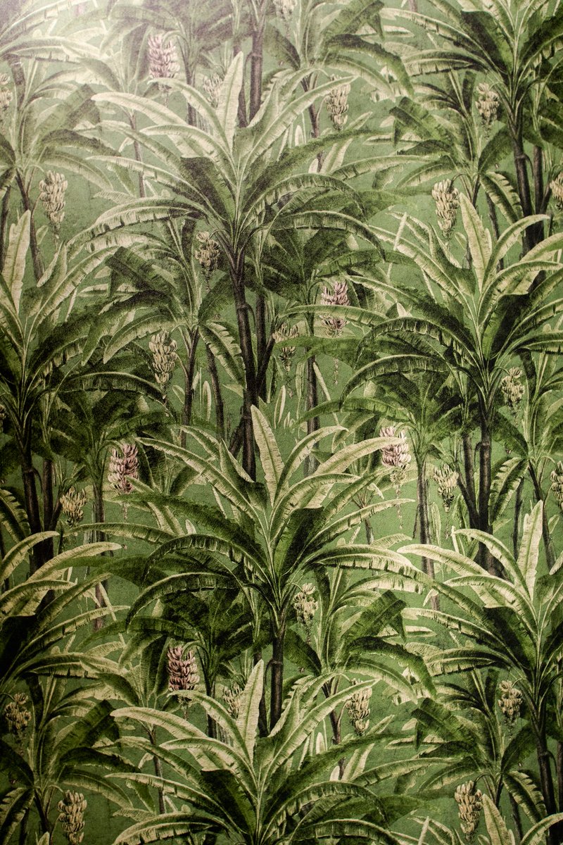 Edge_Workspaces's tweet image. 🪵Wood for warmth. 🪨Concrete for strength. 🍏Natural colors for balance.
In our spaces, design is a contributor to wellbeing and focus.

Every material is chosen to create an environment that feels grounded and calm, yet energizing enough to support your most productive days.