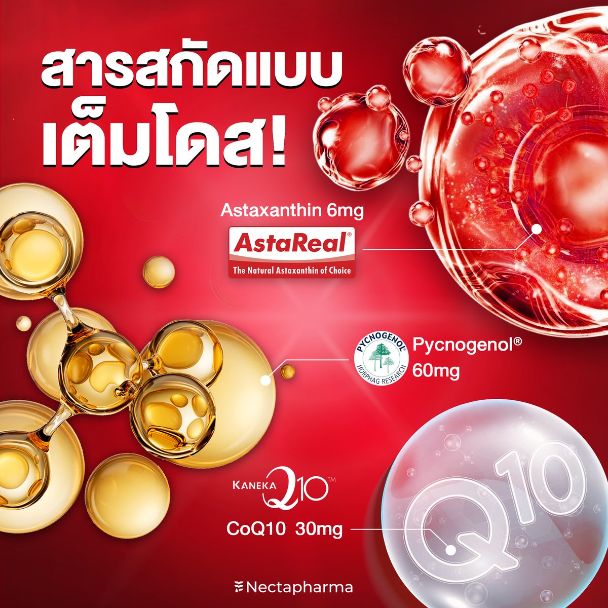 nectapharma's tweet image. swipe left, start glass skin
ปัดซ้าย อัพผิวใส 🤳✨
.
งานผิว NO.1 ต้องให้นี่เลย Luminari Astaxanthin
ต้านอนุมูลอิสระได้มากกว่าวิตามินซีถึง 6,000 เท่า
✔️ หมดกังวลเรื่องผิวหมองคล้ำ
✔️ ผิวยืดหยุ่น ชุ่มชื้น ทนแดด
✔️ จบปัญหาฝ้าและจุดด่างดำ
สารสกัดเต็มโดส ครบจบในเม็ดเดียว📍
.
ช้อปเลยที่…