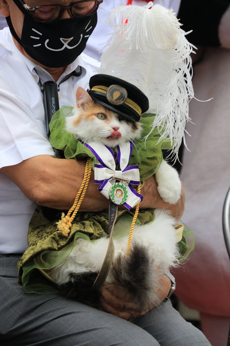 イングラム (@Ingram_) / Posts / X