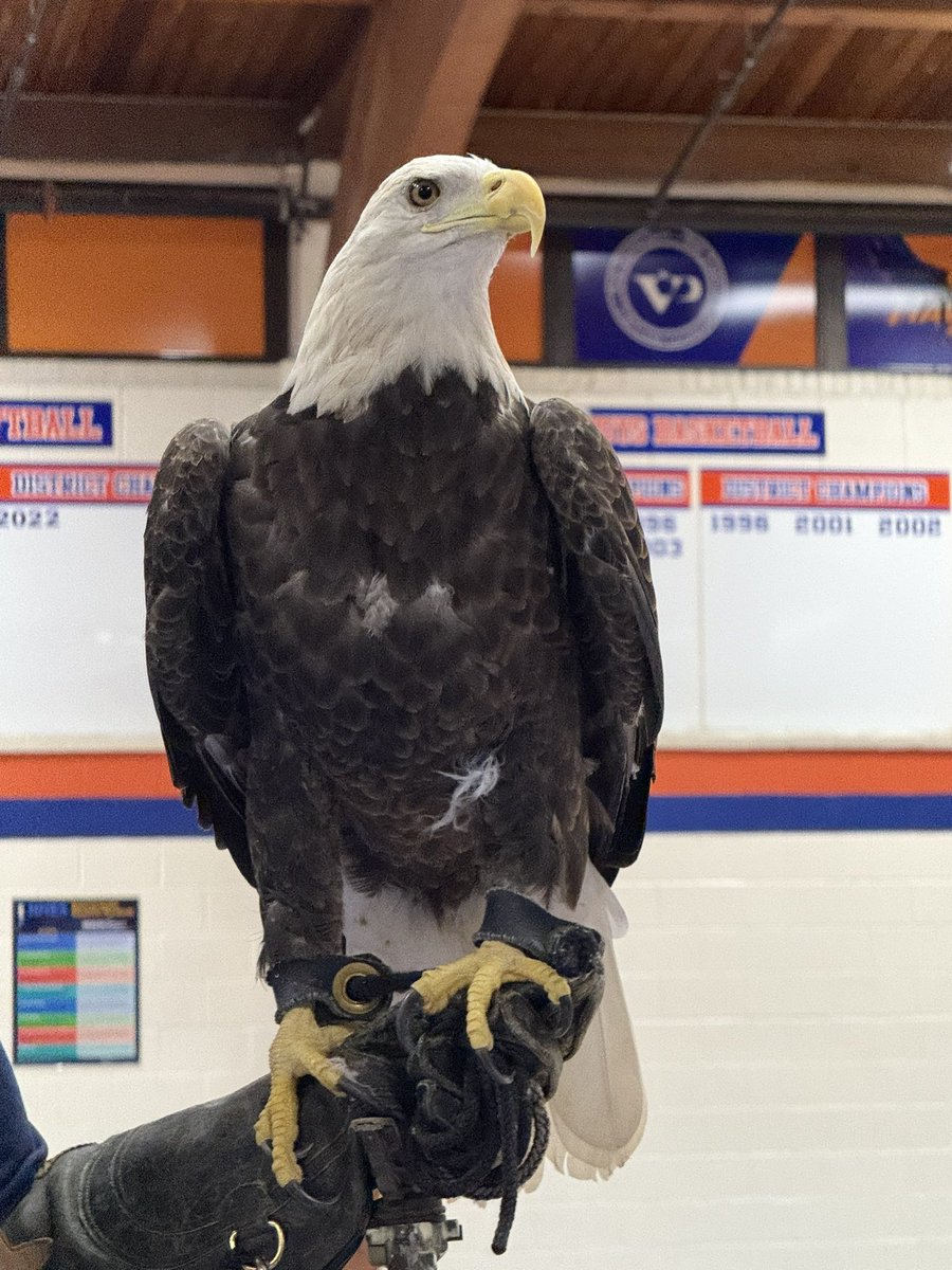 We had the best night celebrating the many cultures that make up <a href="/ValleyParkSD/">ValleyParkSchoolDist</a> &amp; learning about the diversity of birds from our friends and neighbors at the World Bird Sanctuary!  Families learned about the 17 countries represented in our student body and saw an amazing show!