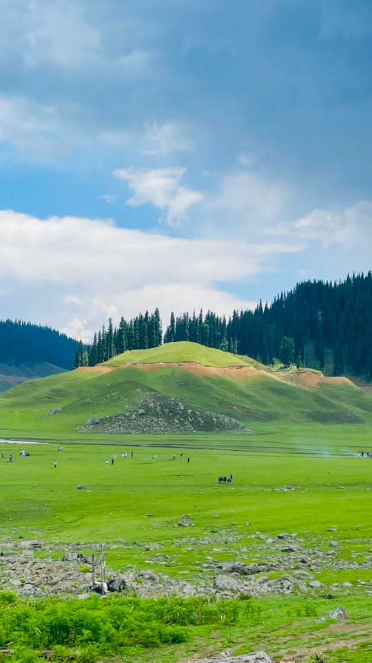 Spacemaxx's tweet image. GM @anus_onsol 

The legends are ready for the pump 👀