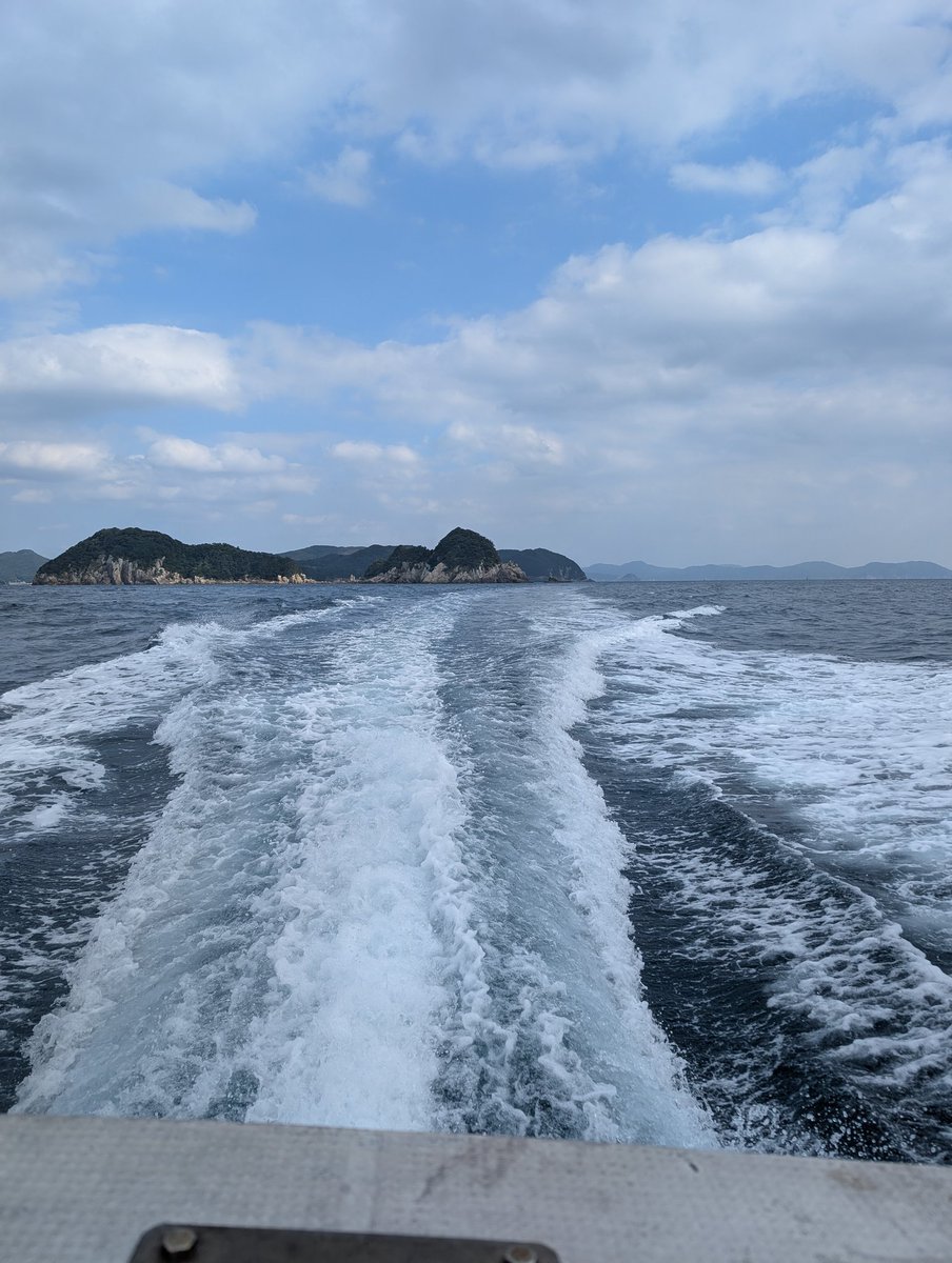 palms_numata's tweet photo. 良く振った🎣
次回メタルバスターお楽しみに👍️ https://t.co/f9aUhI9F2y