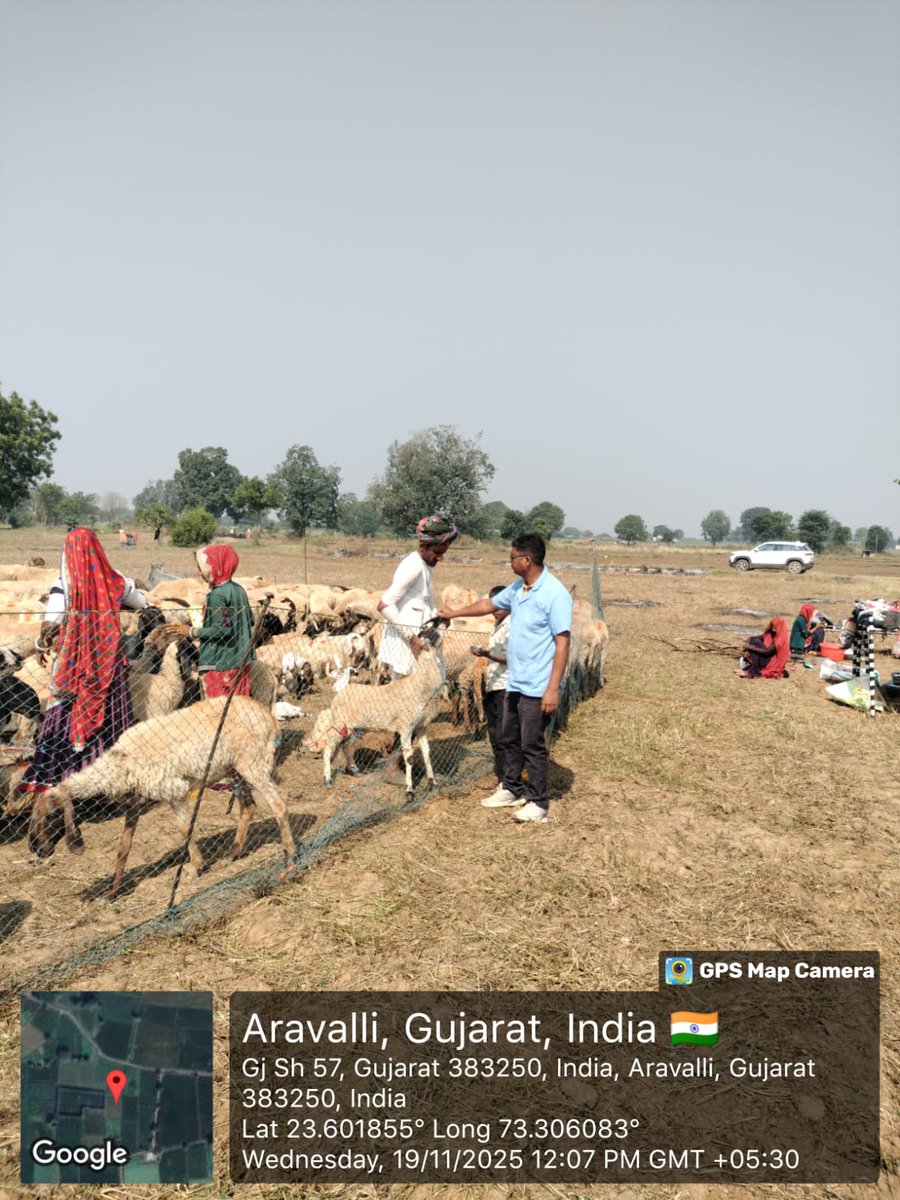 vdmodasa's tweet photo. બાજકોટ,બામણવાડ,ચારણવાડ  ગામે  ઘેટાં બકરા માં કૃમિનાશક દવા પીવડાવાનું પશુ દવાખાના મોડાસા દ્વારા  આયોજન કરવામાં આવ્યું . https://t.co/Xme4hqQQXT