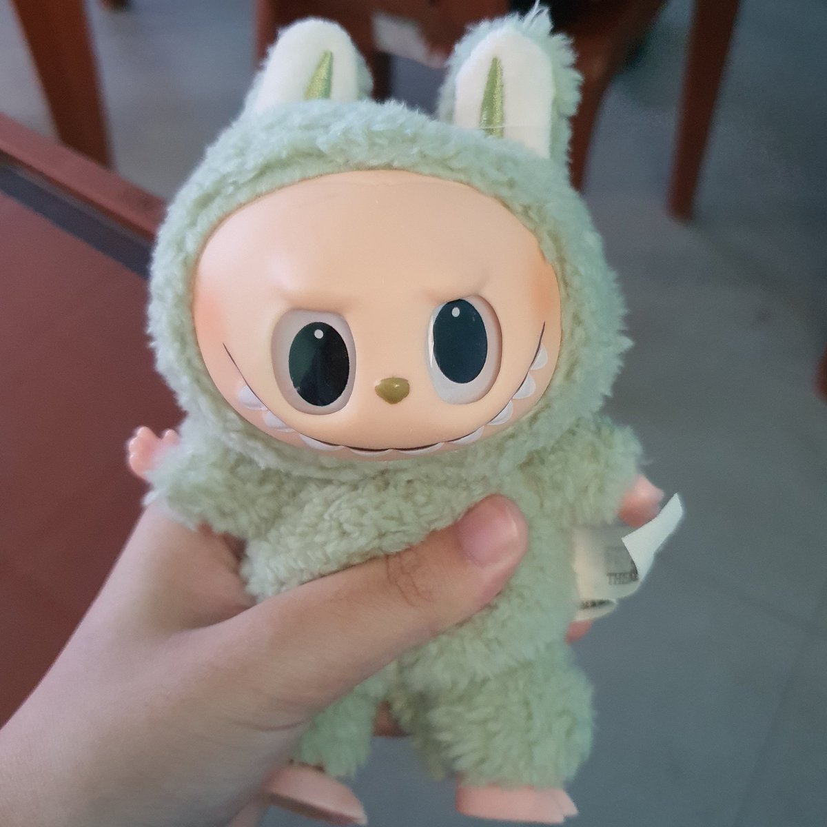 sixthsensebell's tweet image. his name is baldwin because it is the opposite of hairloss