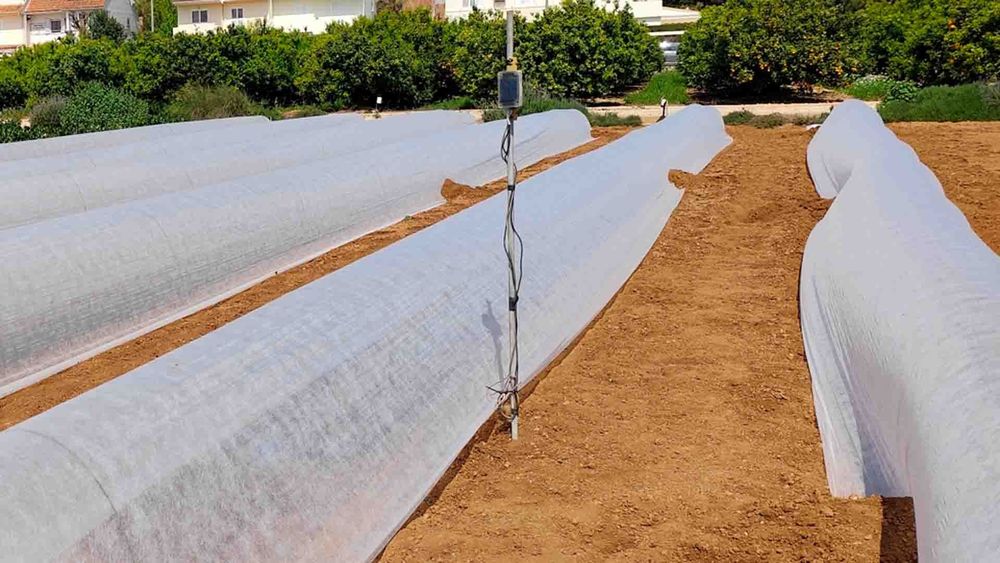 BrioAgro tweet media