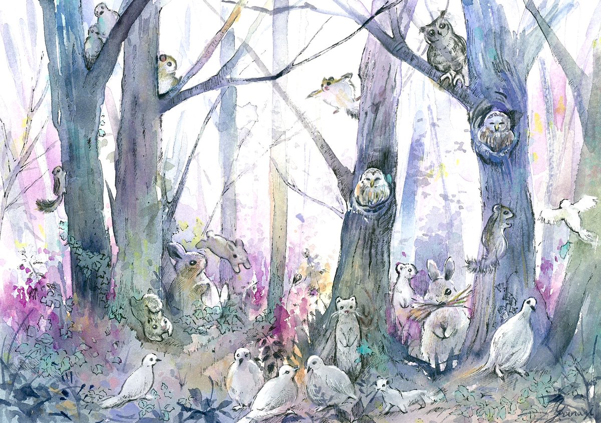 猫ツルうさぎモモンガ森の朝 #透明水彩 #水彩画 #art #watercolor