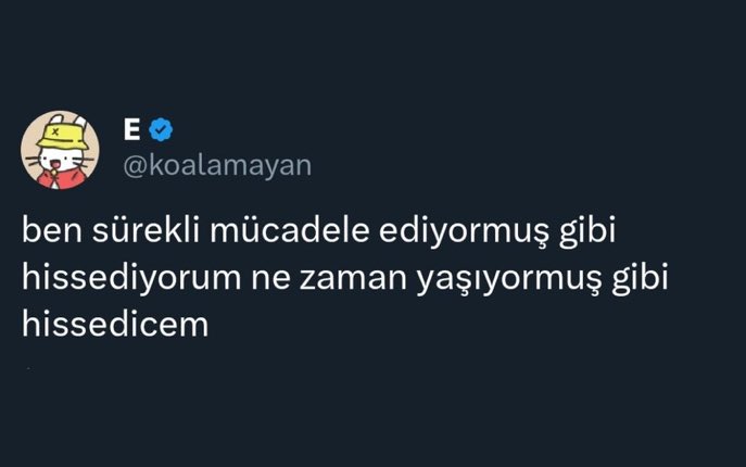 MOOD (@w3mood) on Twitter photo 