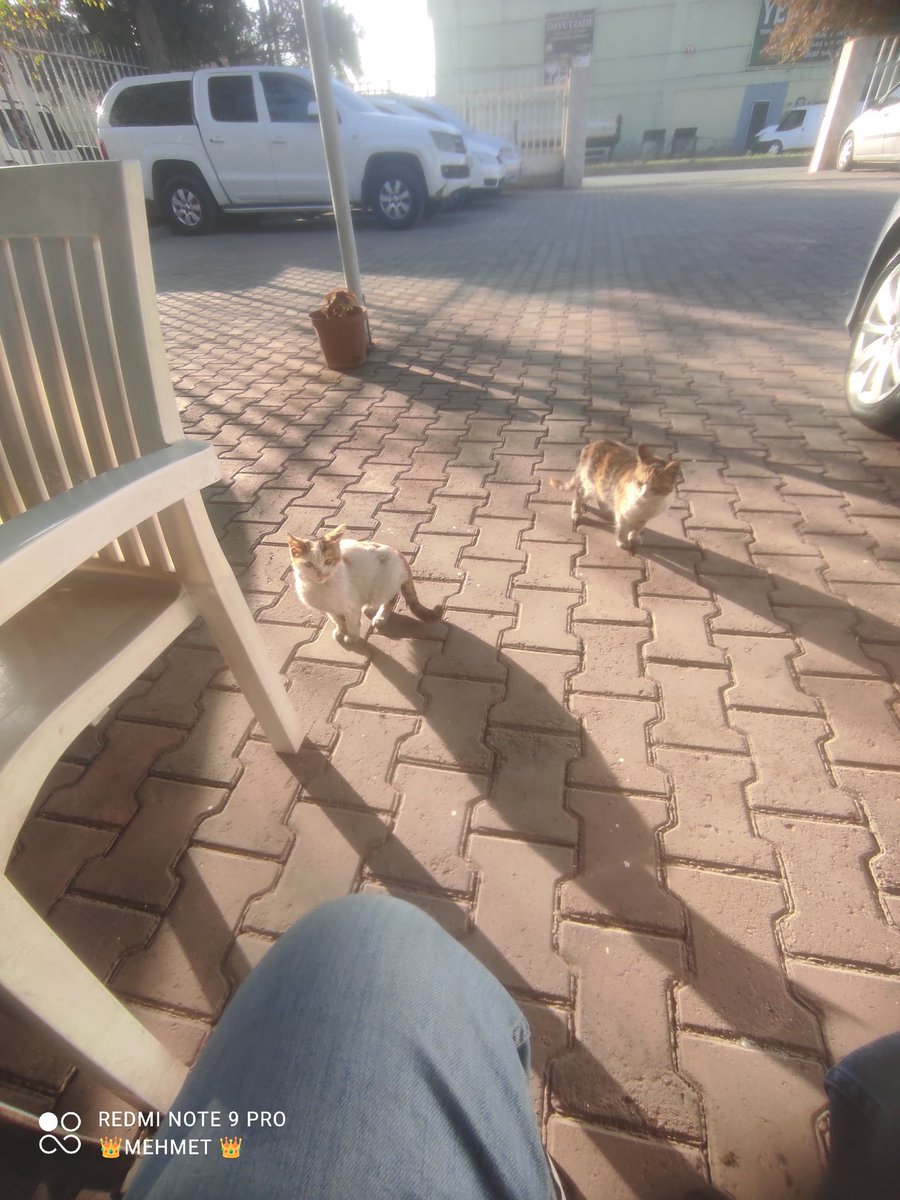 MehmetR7640's tweet photo. Günaydın ☀️ 

Hayırlı cumalar 🤲 https://t.co/1Zj5X9yFY9