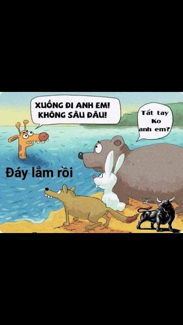 Sang Phạm tweet media