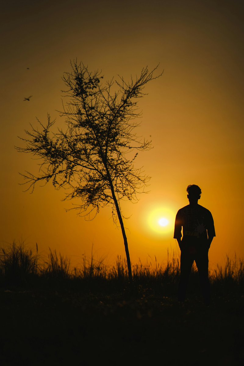 BrianModansky's tweet image. 