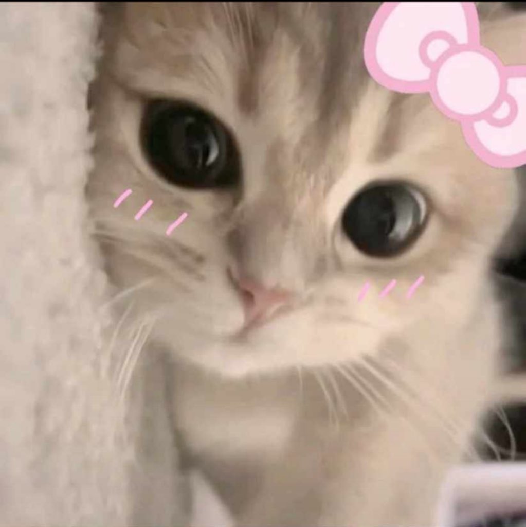 gm guysss

these past few days have been a lot.

i got my first eligibility and my first ineligibility too😅

i wasn’t eligible for sentient, 
i got nominated for a role Upgrade and the next day season 1 ended…
so till season 2 i guess

became eligible for irys, but i didn’t