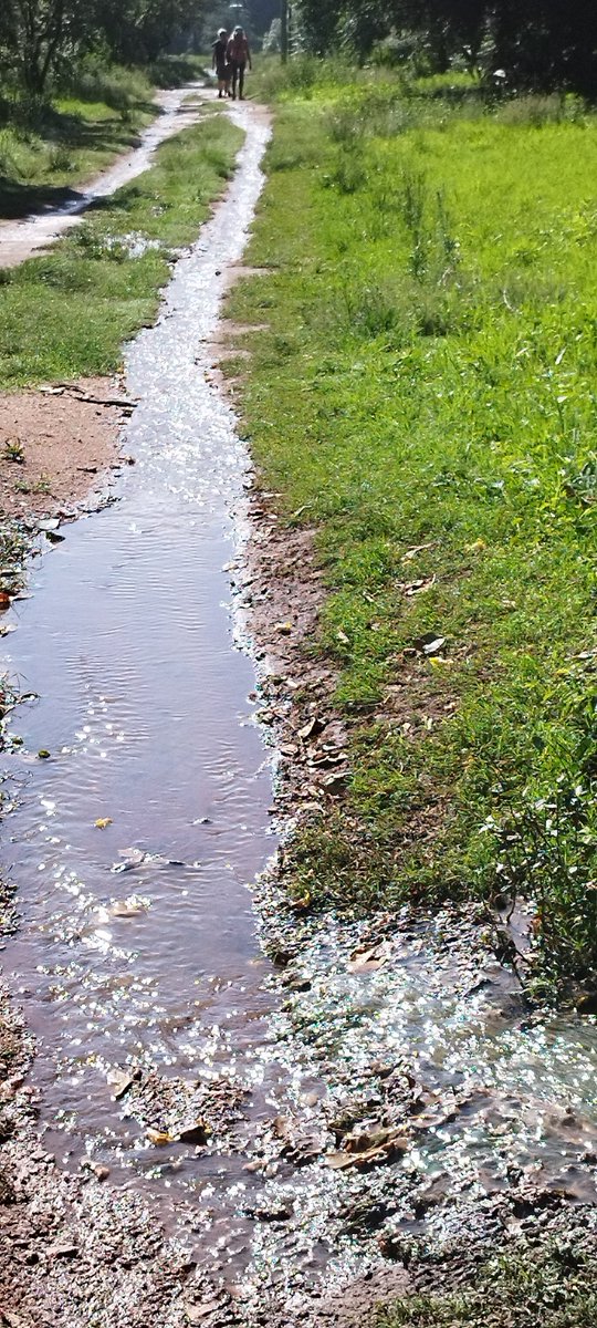 Niki Seberini tweet media