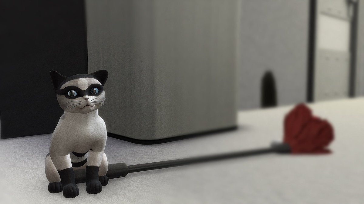 🐾🐾🐾🐾🐾🐾🐾🐾🐾🐾