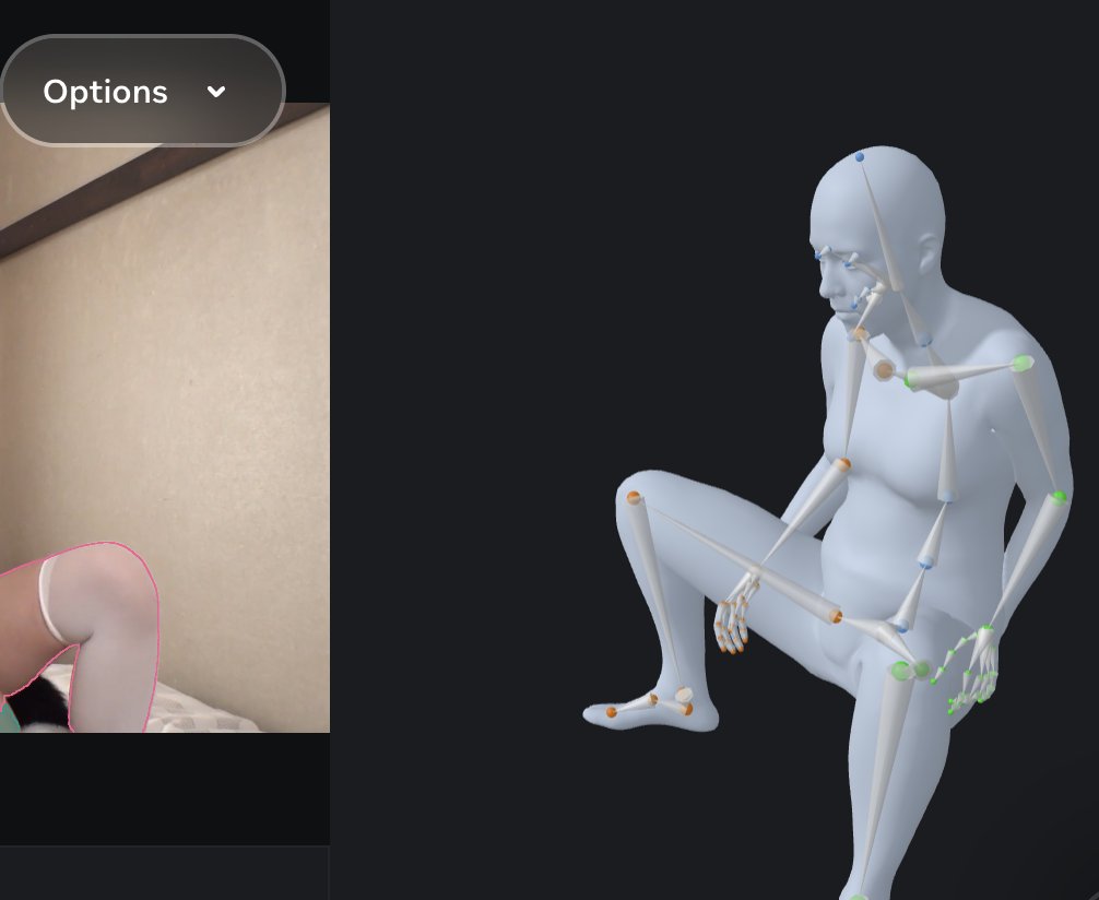 tinyfool's tweet image. sam3这个模型有点好，没有什么伦理检查，我放了一张图片上去，就得到了这个姿势的3d模型，嗯，你知道是干啥的吧？