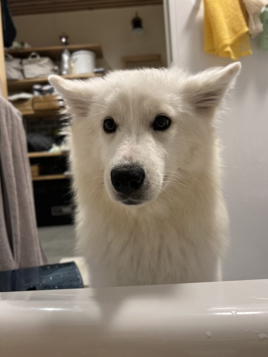 ふぁい@C107火曜 南1_s-14b (@rocking_jjj) / Posts / X