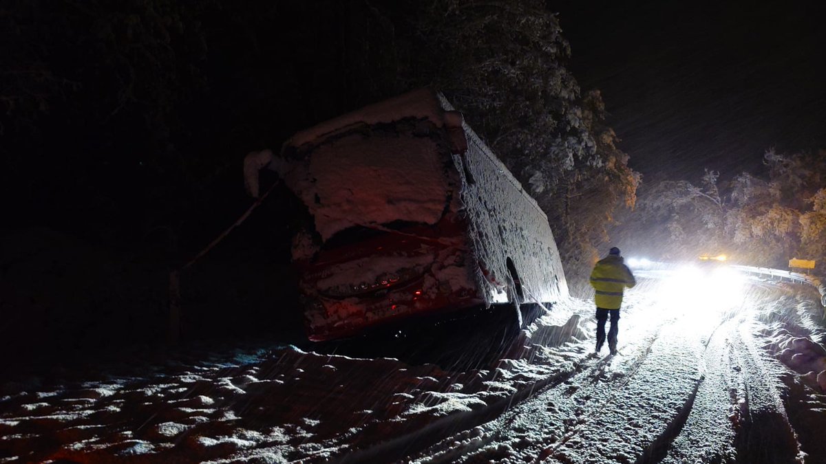 Bzvaldegovia tweet media