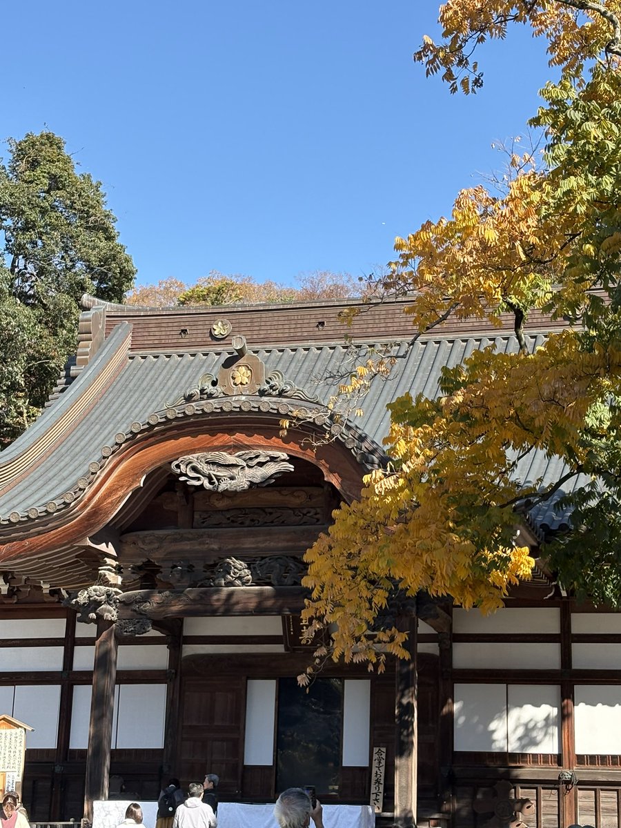 Chika542912's tweet image. 今日もお天気が良いので
お出かけ〜
深大寺

神代植物園でバラも楽しんできました
#深大寺
#調布市