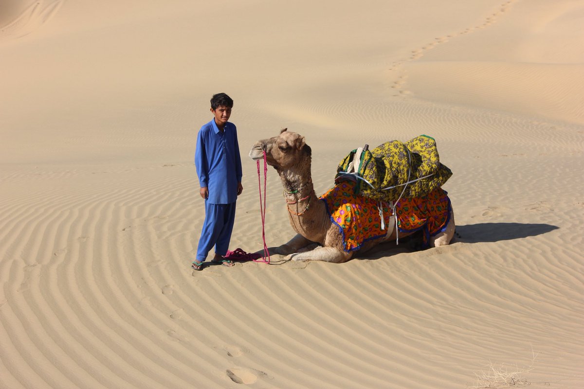 Tribal boy, lives in a hut, no school in this uninhabited desert, he tends to his camel, helps his parents survive.  
Shot on: Canon 
Photography: Manish Gupta
