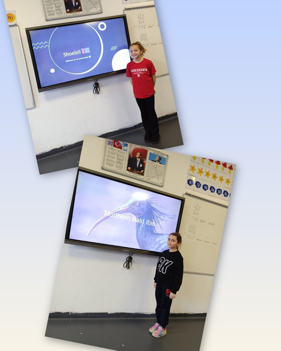 BK_Trabzon's tweet image. Assorted presentations by our grade four pupils. They shared their excitement on  various topics from extinct animals to ancient civilisation. 

#EnglishIsFun #BahçeşehirKoleji