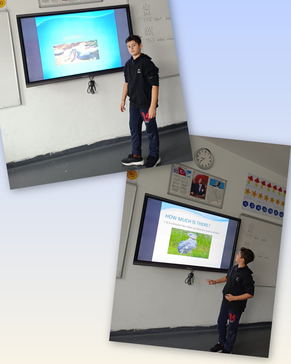 BK_Trabzon's tweet image. Assorted presentations by our grade four pupils. They shared their excitement on  various topics from extinct animals to ancient civilisation. 

#EnglishIsFun #BahçeşehirKoleji