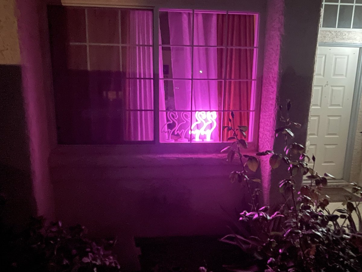 Hi #VGKNeighbor! My VGK Doggie Senses are tingling with hints of this win being a start to a #VGKWinStreak!  You know that this will be music to 🦩<a href="/VGKFlamingo/">Victory Flamingo🦩</a> 🦩ears! #FlyMingoFly!  We’ll #LightTheMingo x2 toKnight!  G’Knight!

#VegasBorn
#VGK9Krew
❤️🐼🐶