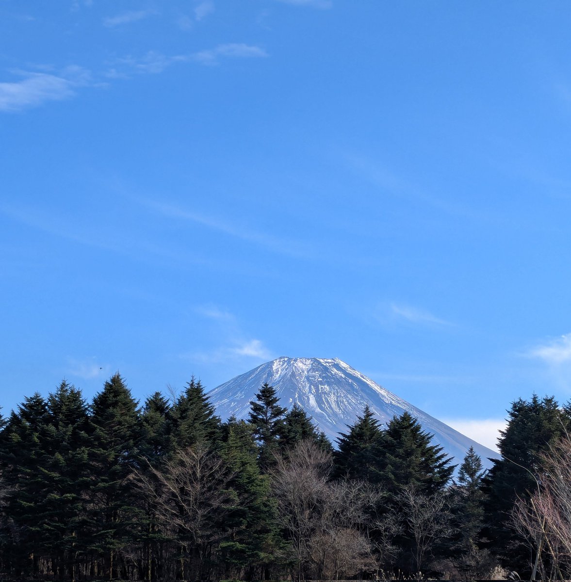 MIL-CAM Day Zero

(⁠ ⁠ꈍ⁠ᴗ⁠ꈍ⁠)

#ミリキャン
#milcam