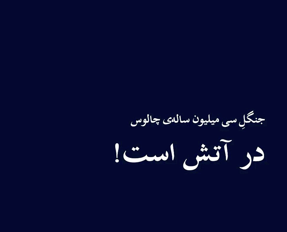 SimiNRh's tweet photo. #جنگل_هیرکانی https://t.co/RP6ak5upkL