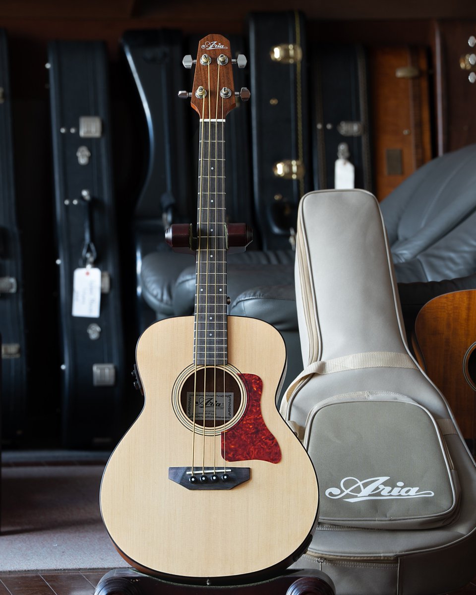 Aria 
ABM-500

597mmスケールのミニアコースティックベース
コンパクトで扱い易いサイズ感で持ち運びも便利な
10mmパッドを採用したソフトバッグが付属します。

スケール: 597 mm
全長: 約 935 mm
ボディ幅: 約 365 mm
ボディ厚: 約 120 mm

ariaguitars.com/jp/items/basse…