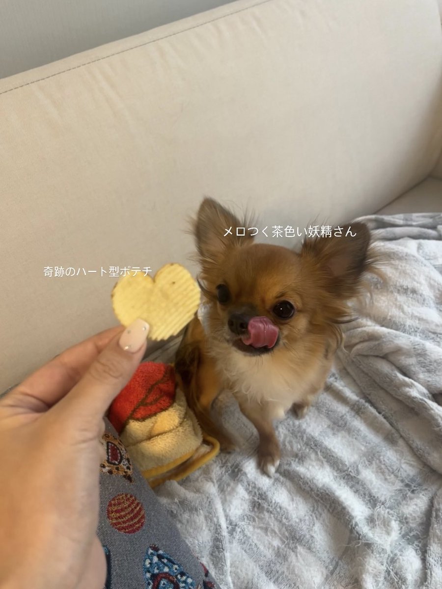 さすがに𝑳𝒐𝒗𝒆 𝒔𝒐 𝒔𝒘𝒆𝒆𝒕＿＿＿♡