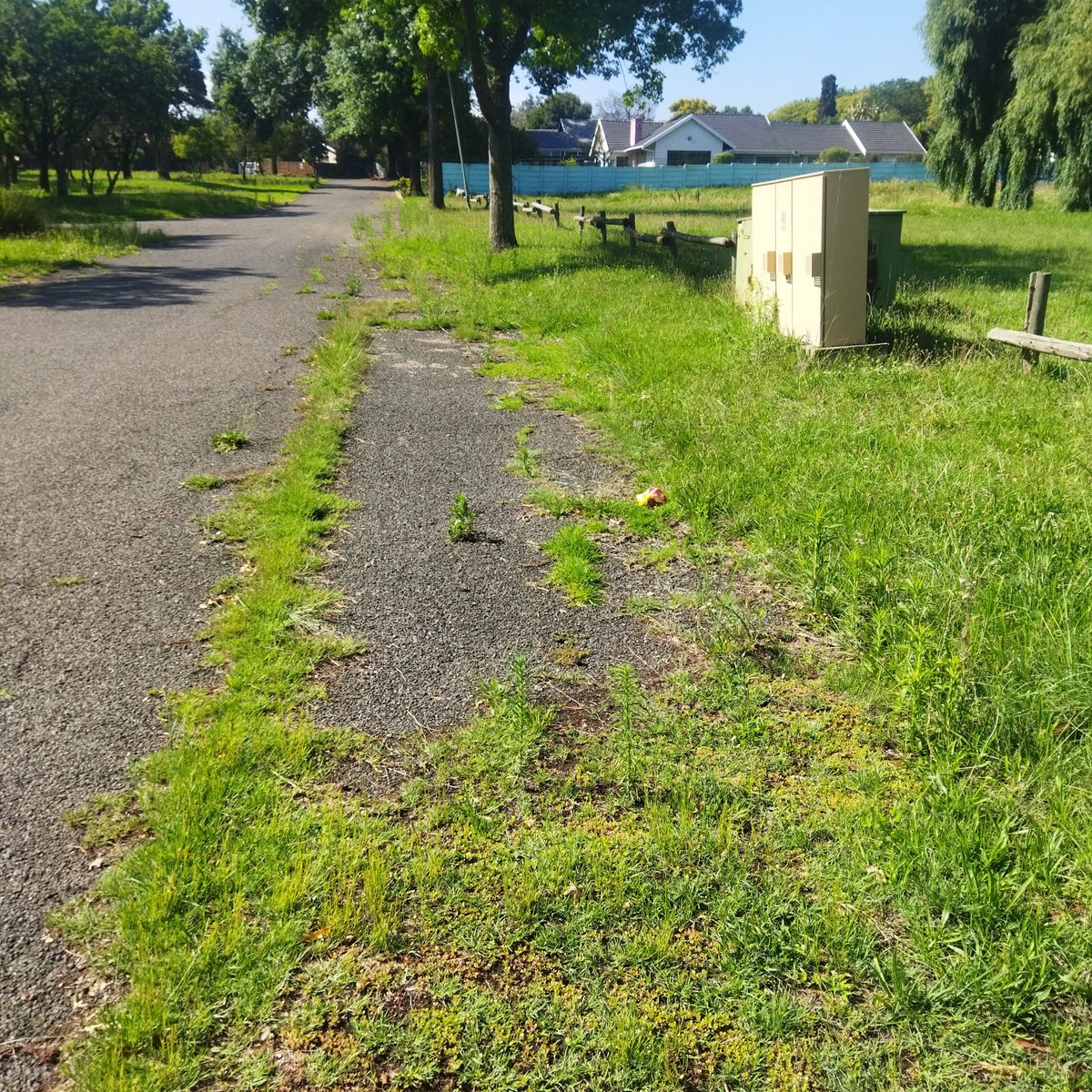 Michael O'Donovan tweet media