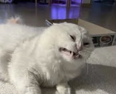 He. Is. Wearing. An. Apron. Pls. Stahp.