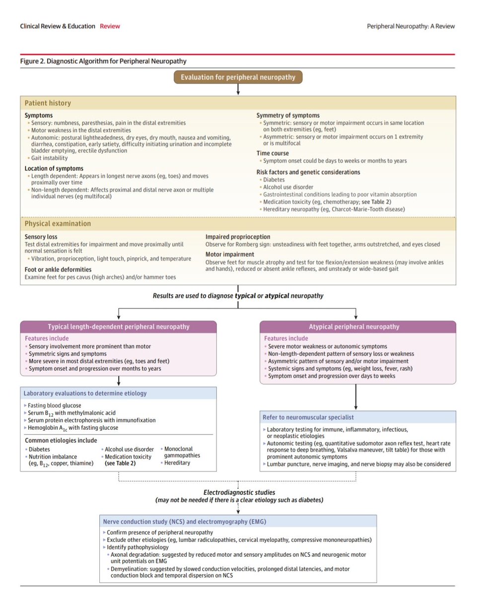 giorg_kyriakos's tweet image. 📘 @JAMA_current review on peripheral #neuropathy.

🧩 ~1% adults worldwide
⚠️ #Diabetes = main cause
🦶 Length-dependent sensory &amp;gt; motor
🧪 Key labs: A1c, B12+MMA, SPEP/IFE
💊 Pain Tx: gabapentin/pregabalin, duloxetine, TCA

🔗 jamanetwork.com/journals/jama/…
#EndoTwitter #MedTwitter