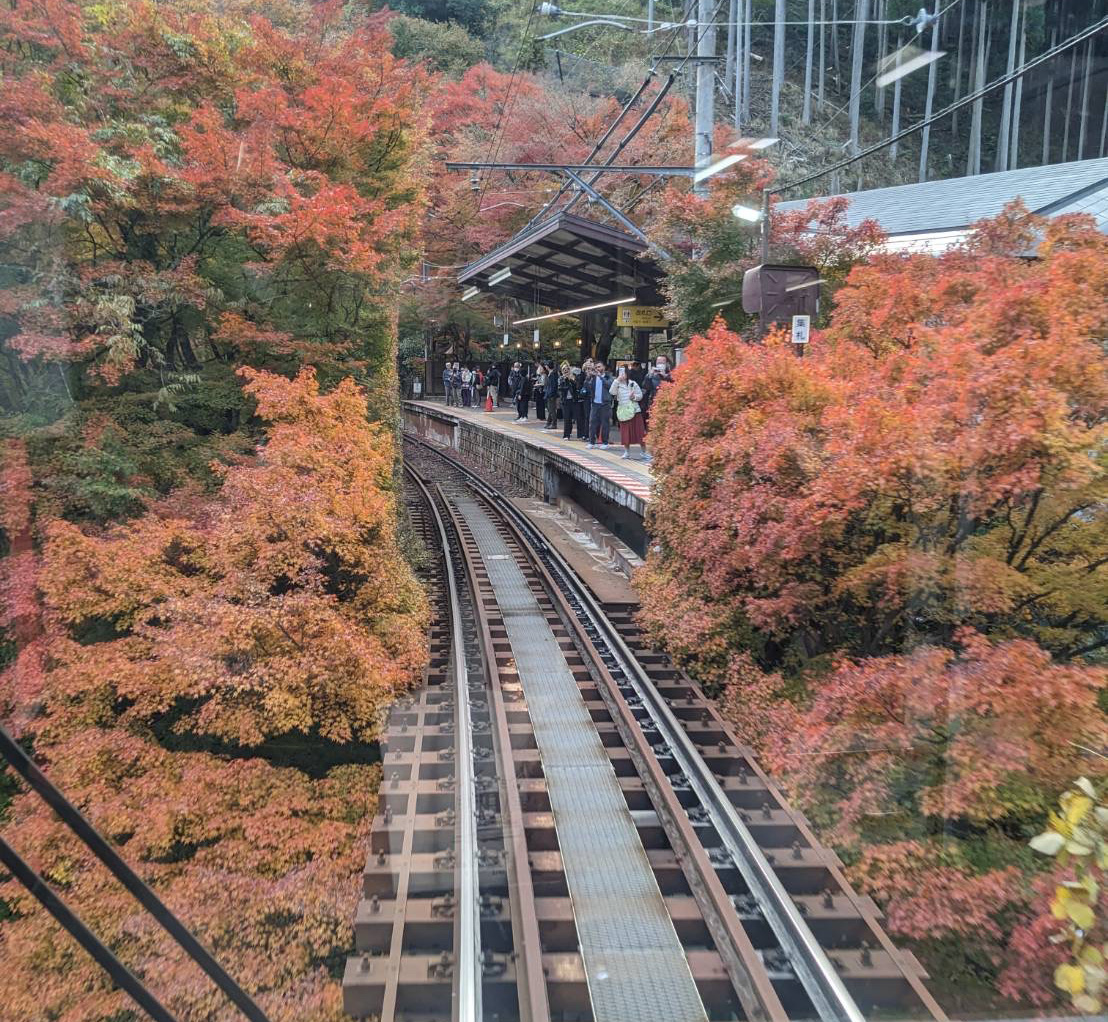eizandensha's tweet image. 今日の京都「貴船口駅」（撮影日：2025.11.21）
#叡山電車 #叡電 #紅葉 #気分も高揚 #もみじ