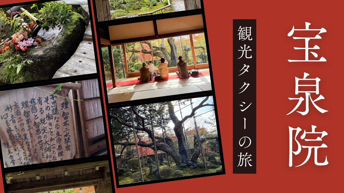 五葉松が描き、水琴窟が響き、血天井が語る「宝泉院」をご案内♪｜雅京都観光 <a href="/miyabi4949/">雅京都観光</a> note.com/miyabi4949/n/n…