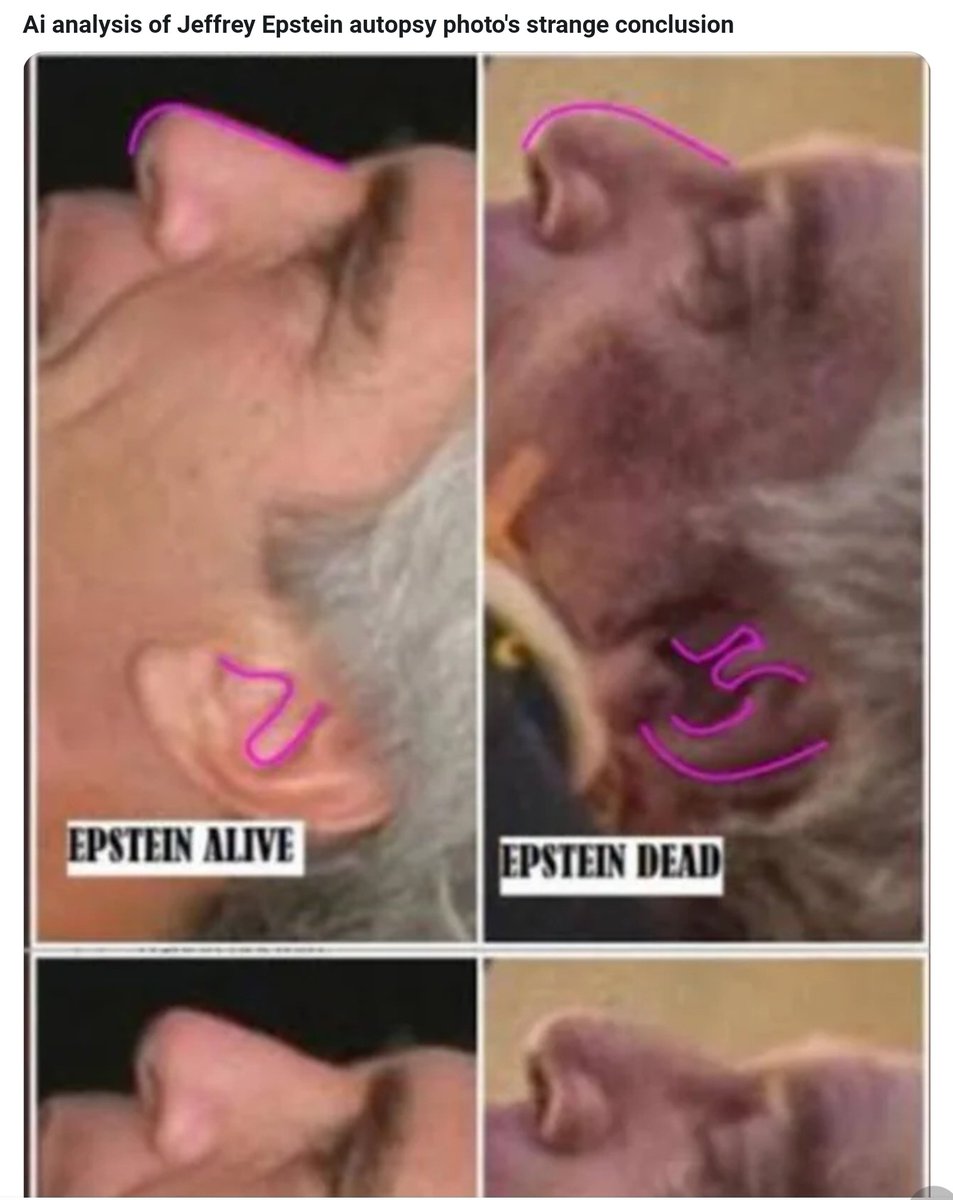 <a href="/FarmGirlCarrie/">Farm Girl Carrie 👩‍🌾</a> <a href="/Labradoofus/">Lippy McGirk 🇺🇸 🍀 🦅 🚫DMs = instant block🚫</a>