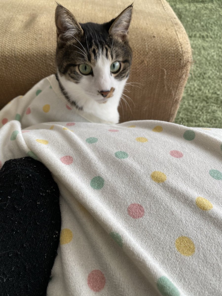 今日のコーデは水玉〜（ドットを水玉というお年頃）