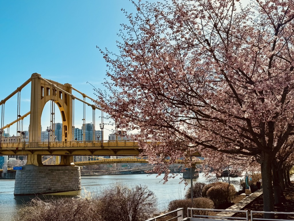 迟猫猫🐱 tweet media