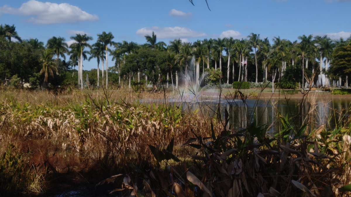 雪がしんしんと降り積もっていたレークプラシッドから一転、歩くだけで汗をかくフロリダへ。女子ゴルフ、LPGA最終戦のCMEツアー選手権がスタート。会場にはキティちゃんたちサンリオのキャラクターも。