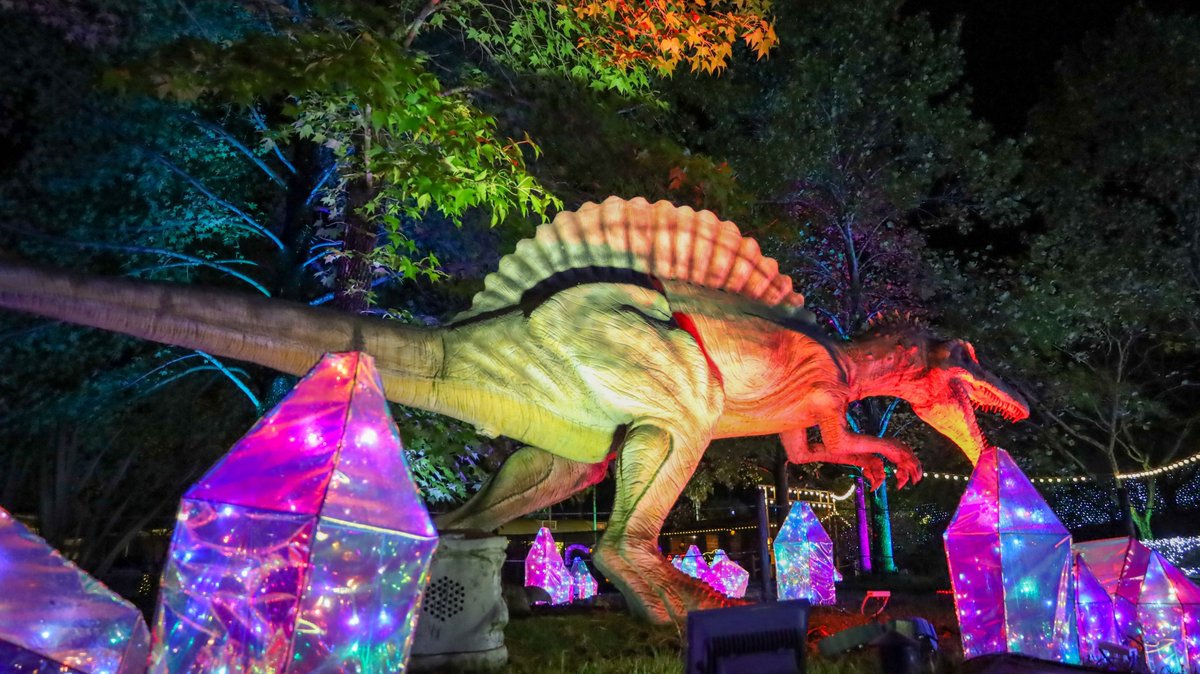 ナルミ    ガラスのフルーツ入れ(専用です！) ナルミ ガラスのフルーツ入れ(専用です！)