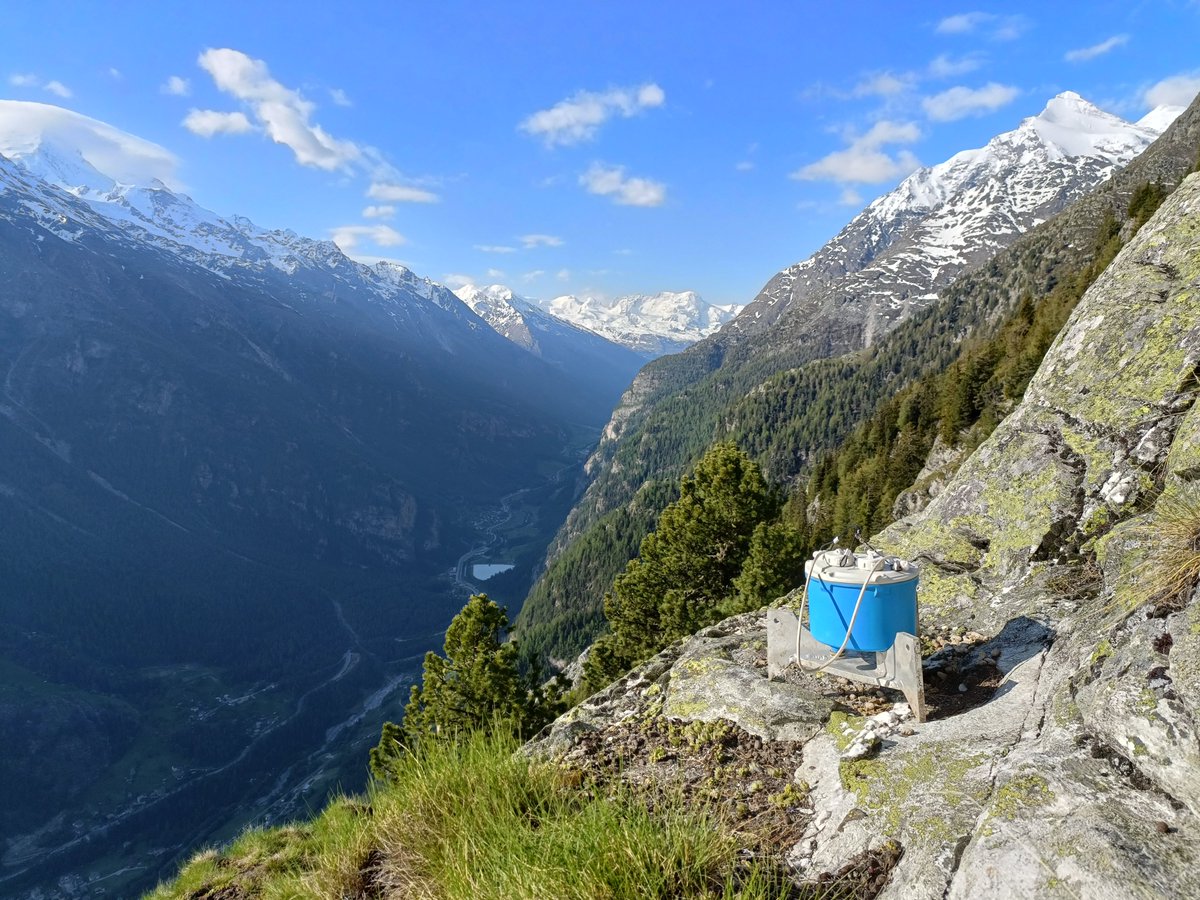 SmartSolo Scientific tweet media