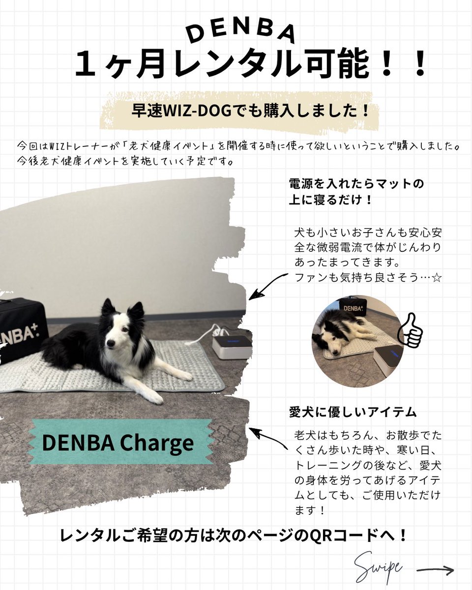 WizdogAcademy's tweet image. 犬が元気に長生きしていつまでもニコニコな毎日を送れるように✨✨
そんな願いを込めて、WIZ-DOGではDENBAを導入することになりました❣️
人間も肩こり、冷え性が緩和され、わんこも疲労回復できて、一石二鳥🙆‍♀️✨
1ヶ月間レンタル（有料）できます🤭
ぜひお試しください♪

#DENBA
#血行促進
#犬の健康