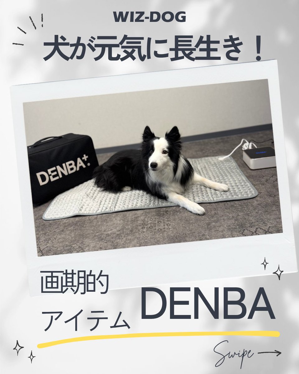 WizdogAcademy's tweet image. 犬が元気に長生きしていつまでもニコニコな毎日を送れるように✨✨
そんな願いを込めて、WIZ-DOGではDENBAを導入することになりました❣️
人間も肩こり、冷え性が緩和され、わんこも疲労回復できて、一石二鳥🙆‍♀️✨
1ヶ月間レンタル（有料）できます🤭
ぜひお試しください♪

#DENBA
#血行促進
#犬の健康