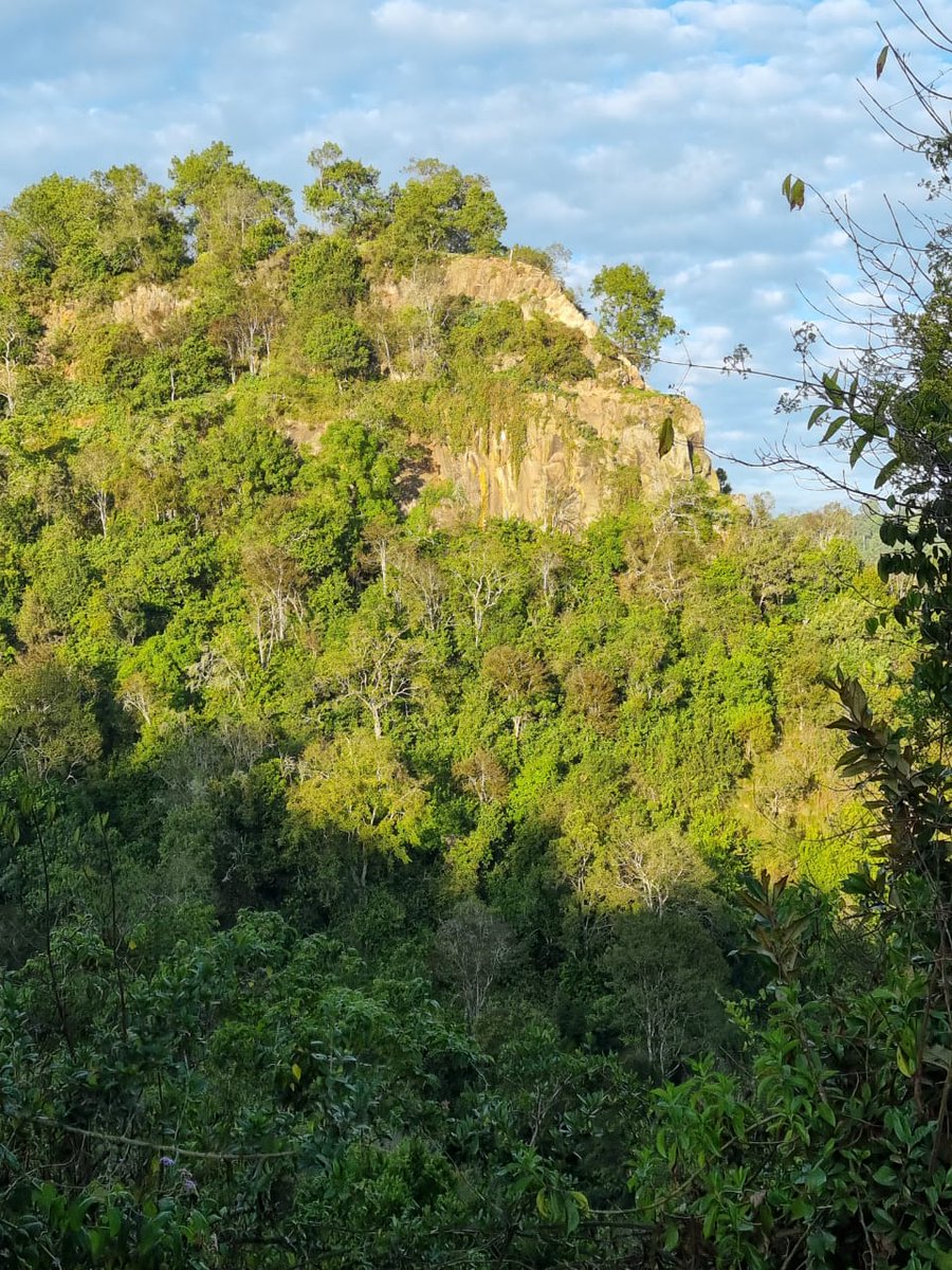 Baringo Great Rift Valley Geopark tweet media