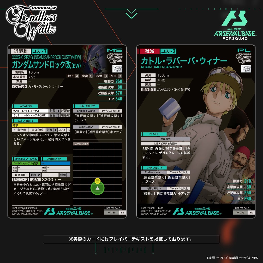 🪽エンドレスワルツプロモーションカードパック&オリジナルストレージ