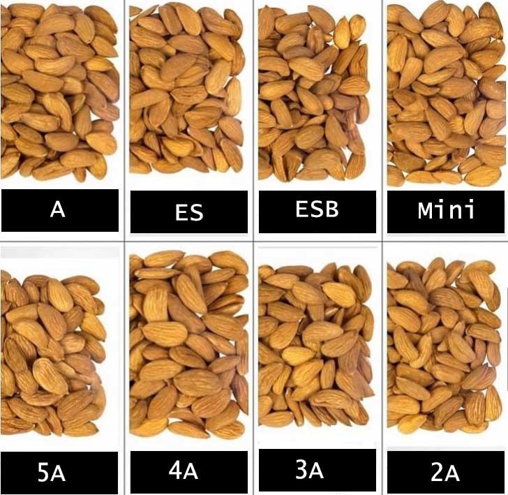 jennelehanson's tweet image. trade4go.com/product/almond…
#trade4go #rfq #DWTS #Dortmund