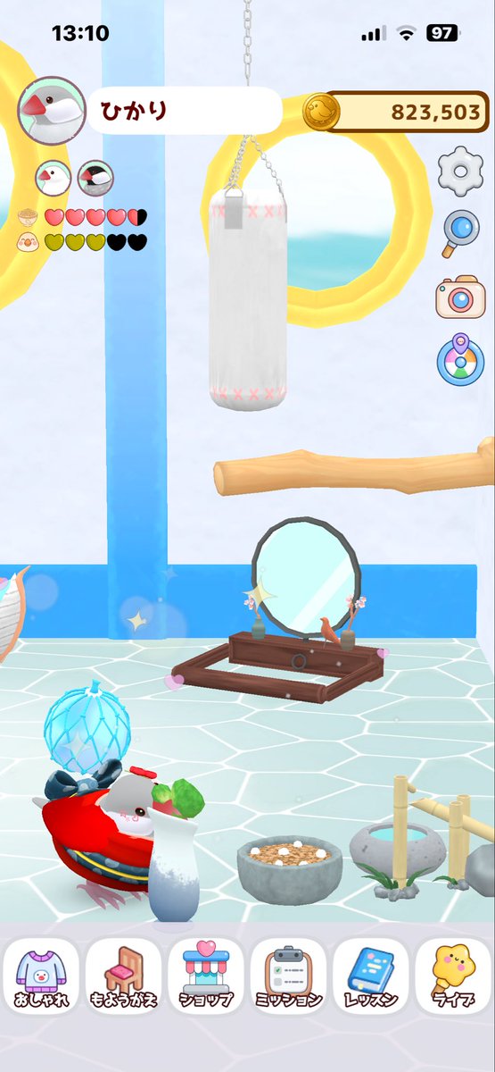 ピーちゃん (@BuraH1JzuQ73wHB) / Posts / X