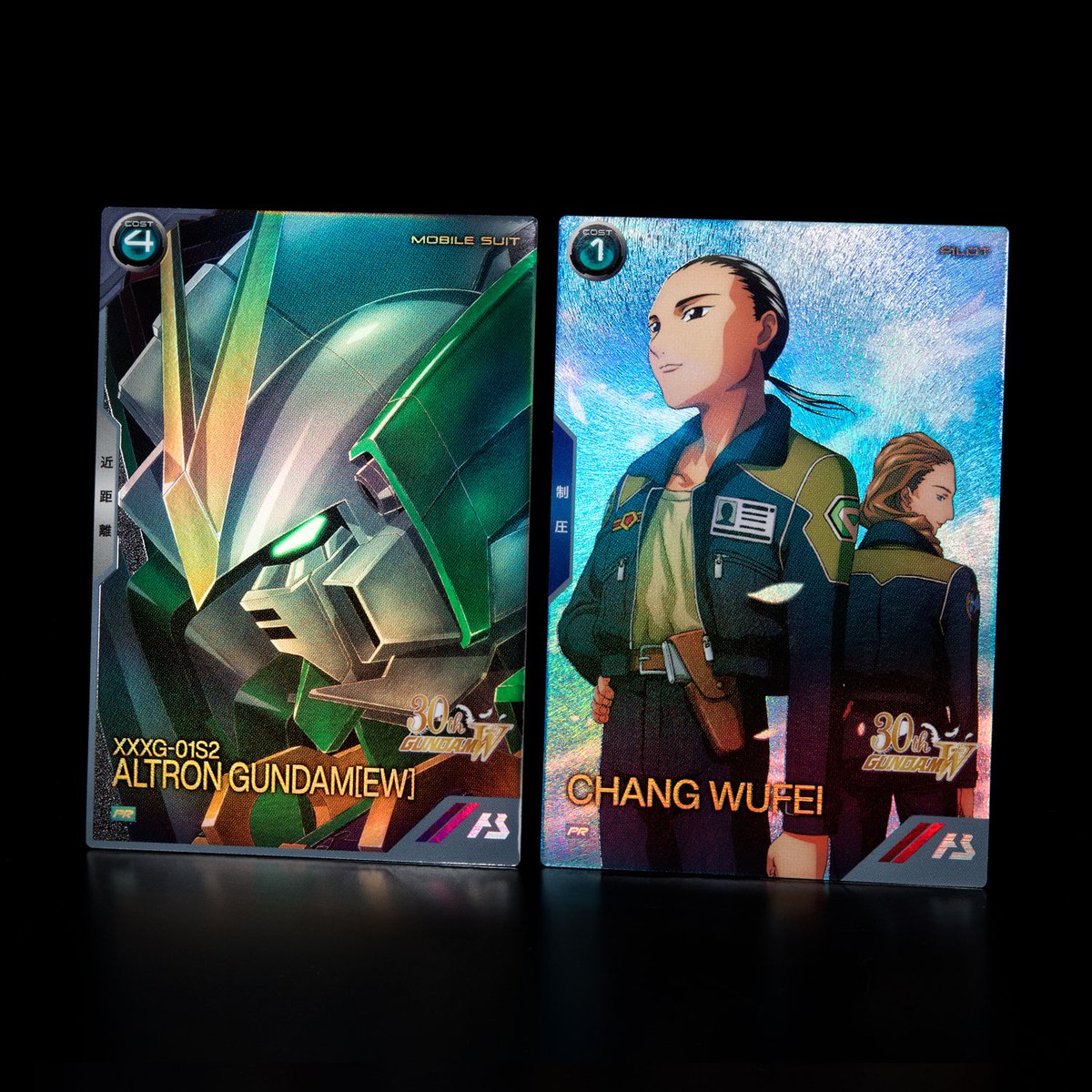 🪽エンドレスワルツプロモーションカードパック&オリジナルストレージ