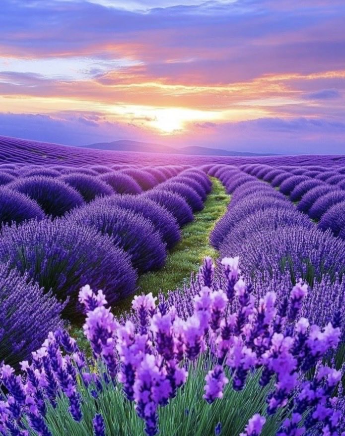 ✨自分を信じる心こそ、成功の為の一番の秘訣です。

自分がここにいるという事は、大いなる神の計画の中に組み込まれている事、一人ひとりが何らかの存在価値を持ち、理由を持って自分をこの場に置き、特別の使命を与えているのだと信じ、何らかの貢献が出来るのです。幸せと成功をつかめるのです✨