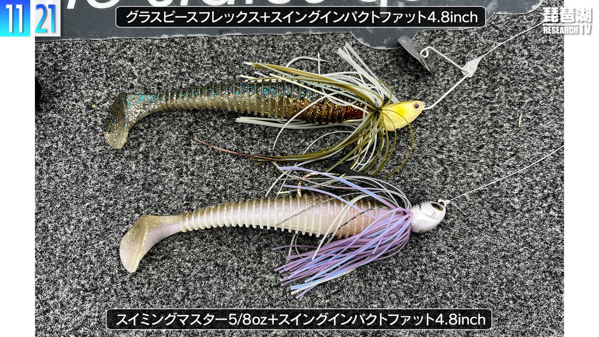 琵琶湖リサーチTV】 寒波到来！晩秋の琵琶湖最新情報｜宮廣祥大さんの