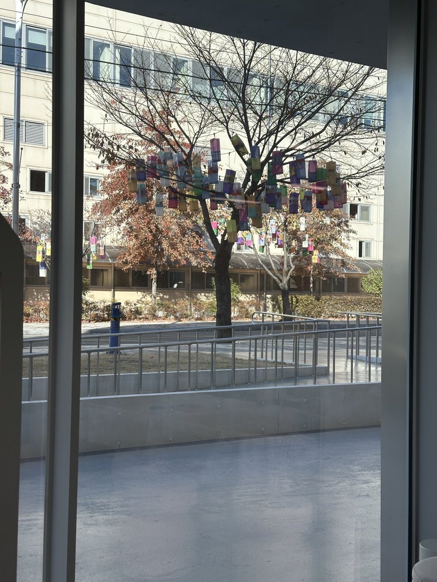 다음 주까지 개관 기념으로 실크랑 관련된 체험 해 볼 수 있으니까 방문 추천